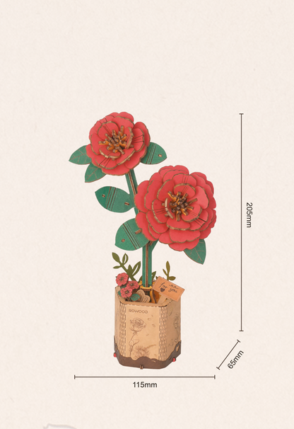 Rød Kamelia - Træblomst