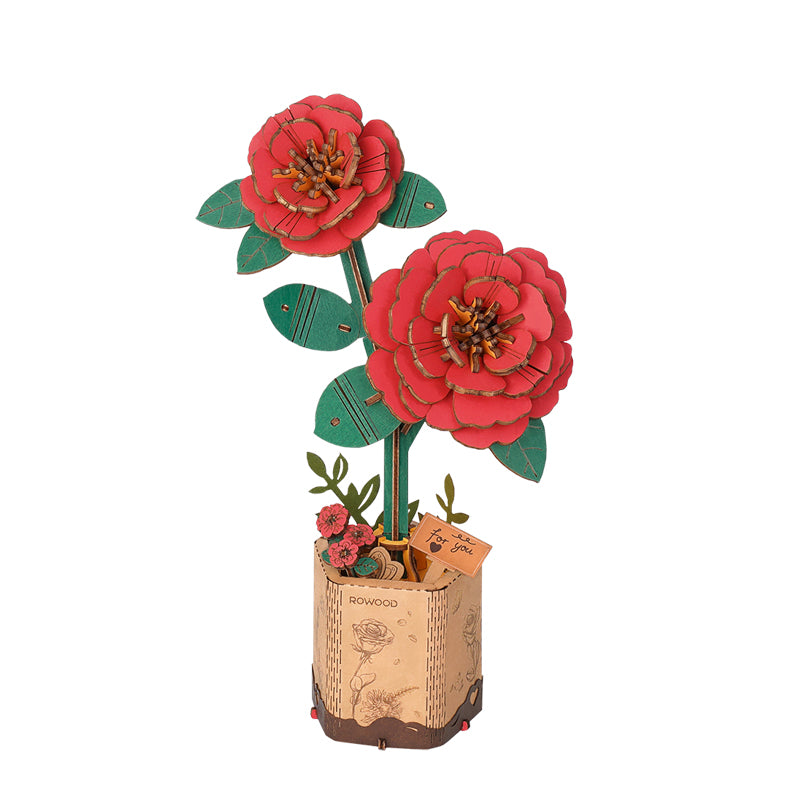 Rød Kamelia - Træblomst
