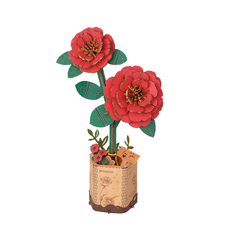 Rød Kamelia - Træblomst