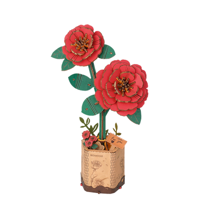 Rød Kamelia - Træblomst