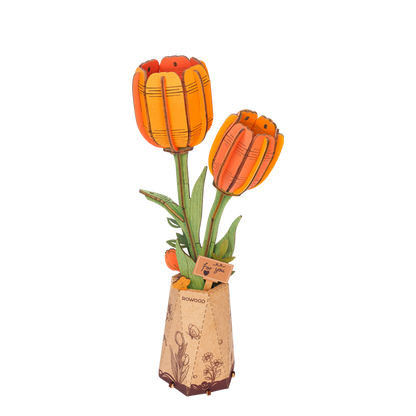 Orange Tulipan - Træblomst