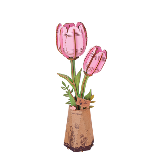Pink Tulipan