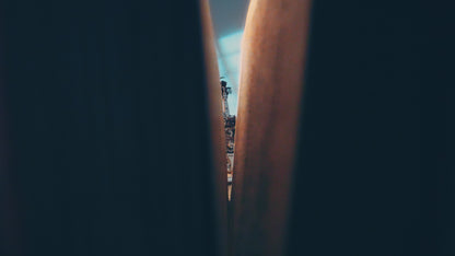 Violin Musikboks - Mekanisk 3D træmodel